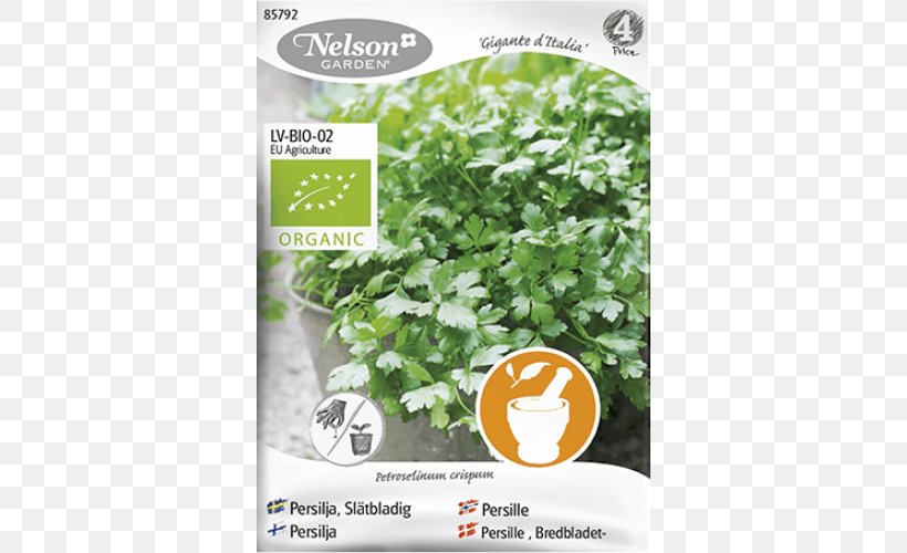 Organic Farming Parsley Italy Herb, PNG, 500x500px, Organic Farming, Common Beet, Condiment, Dill, Farm Download Free