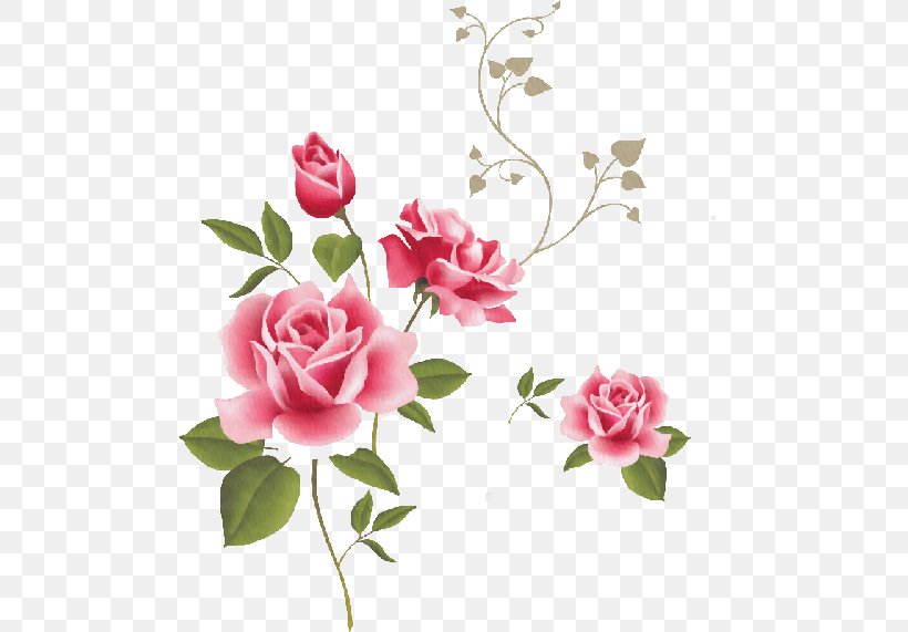 Rose Pink Clip Art, PNG, 500x571px, Rose, Art, Artificial Flower, Branch, Cut Flowers Download Free