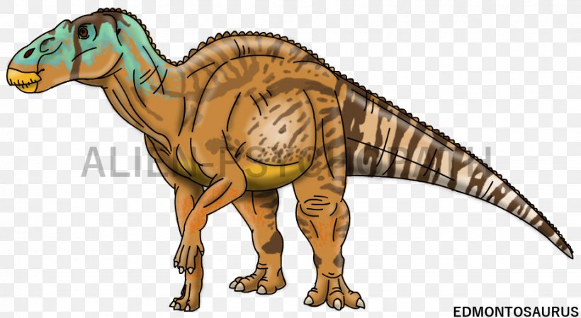 Tyrannosaurus Edmontosaurus Velociraptor Jurassic Park Dinosaur, PNG, 924x507px, Tyrannosaurus, Alan Grant, Animal Figure, Apatosaurus, Dinosaur Download Free