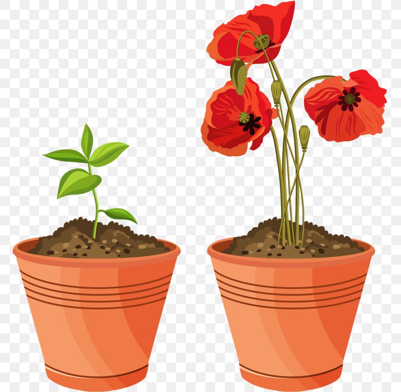 Flowerpot Floral Illustrations Garden Potting Soil Clip Art, PNG, 768x800px, Flowerpot, Container Garden, Drawing, Floral Illustrations, Flower Download Free