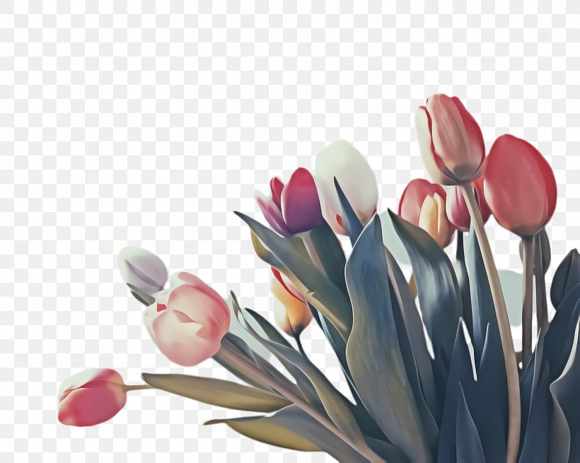 Flowers Background, PNG, 2236x1788px, Tulip, Artificial Flower, Beauty, Beauty Parlour, Blossom Download Free