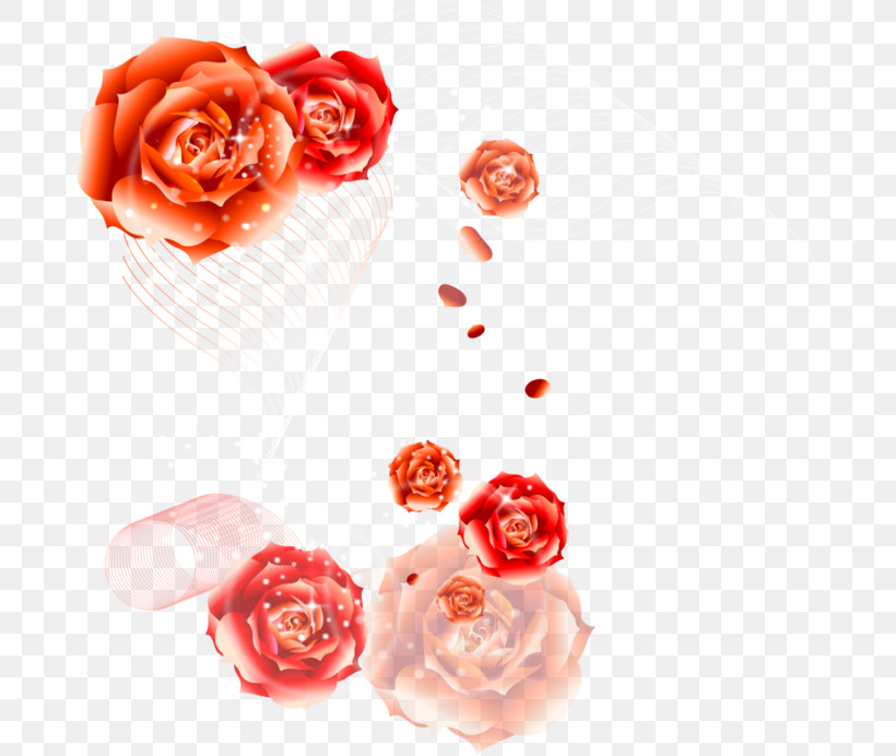 Garden Roses, PNG, 678x692px, Red, Cut Flowers, Dessert, Flower, Food Download Free