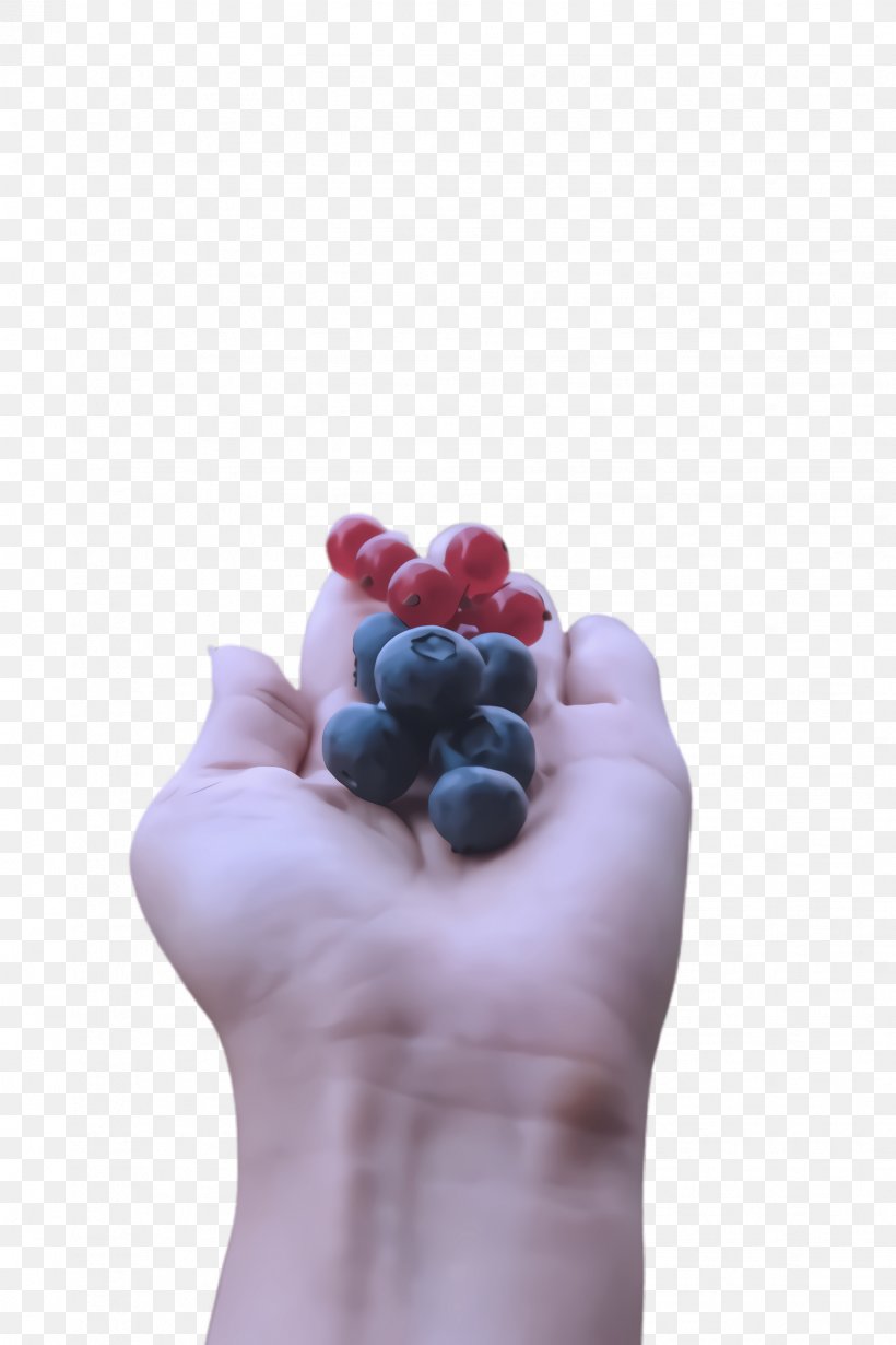 Grape Fruit Hand Berry Finger, PNG, 1632x2448px, Grape, Berry, Finger, Food, Fruit Download Free