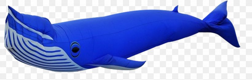 Balloon Right Whales Download, PNG, 2775x888px, Balloon, Blue, Cartilaginous Fish, Cobalt Blue, Designer Download Free