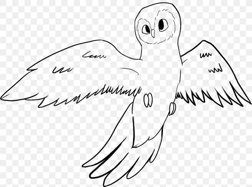 Beak Owl Bird Line Art Drawing, PNG, 1024x760px, Watercolor, Cartoon, Flower, Frame, Heart Download Free