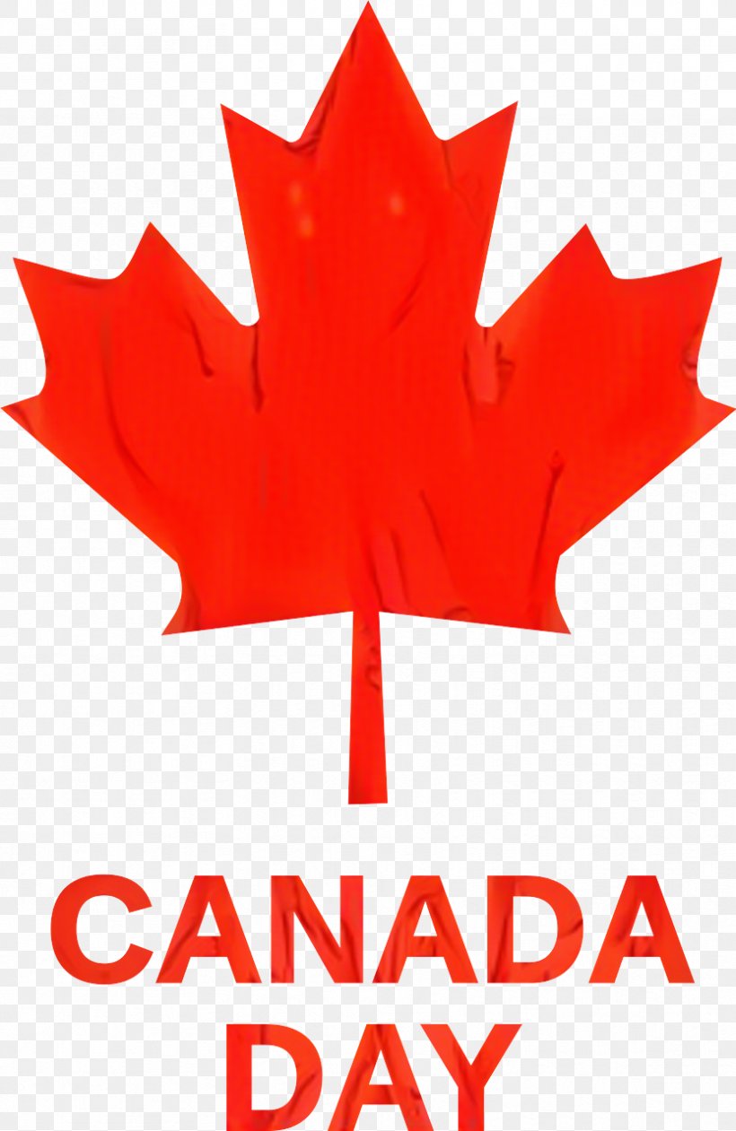 Canadian Gold Maple Leaf Clip Art Line, PNG, 832x1280px, Maple Leaf, Black Maple, Canadian Gold Maple Leaf, Flower, Leaf Download Free