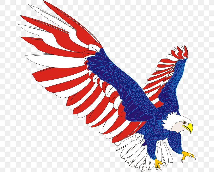 Flag Of The United States T-shirt American Eagle Outfitters, PNG, 684x657px, United States, Accipitriformes, American Eagle Outfitters, Beak, Bird Download Free