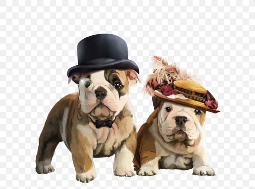 French Bulldog Toy Bulldog Dorset Olde Tyme Bulldogge Puppy, PNG, 700x608px, Bulldog, Animal, Boston Terrier, British Bulldogs, Carnivoran Download Free