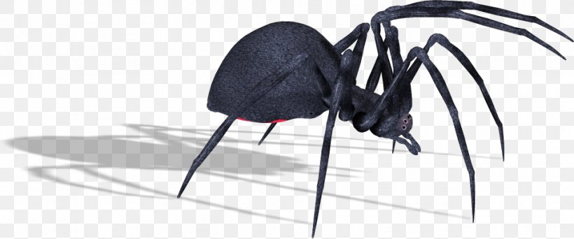 Southern Black Widow Spider Image Clip Art, PNG, 963x402px, Southern Black Widow, Arachnid, Arthropod, Black Widow, Brown Recluse Spider Download Free