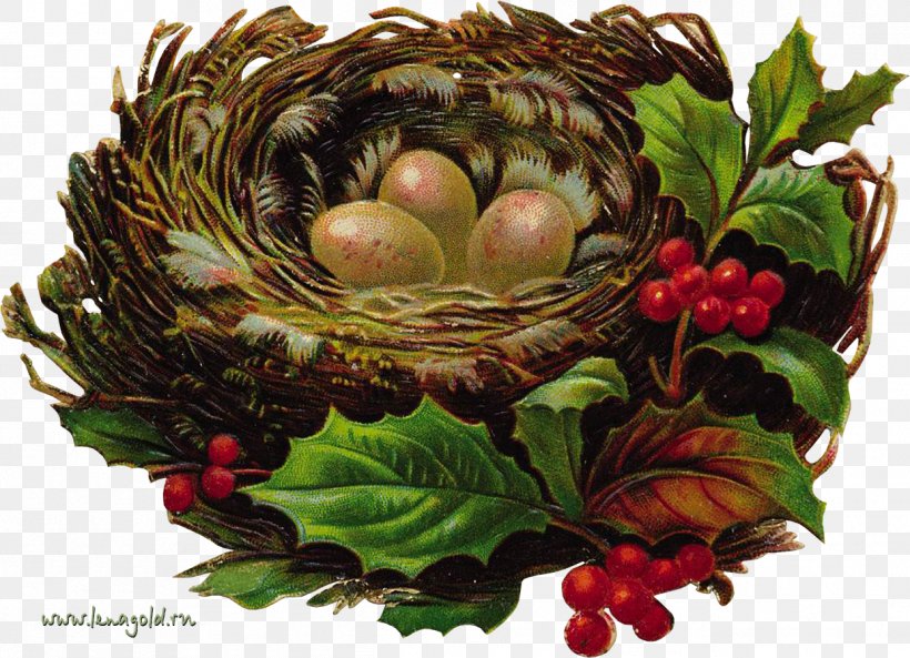 Bird Nest Paper Christmas Ornament, PNG, 1243x900px, Bird, Bird Egg, Bird Nest, Centrepiece, Christmas Download Free