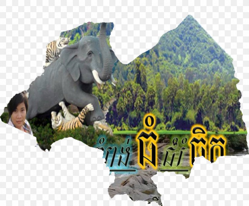 Dinosaur Fauna Kampong Thom Province Tourism Wildlife, PNG, 920x762px, Dinosaur, Fauna, Organism, Tourism, Wildlife Download Free