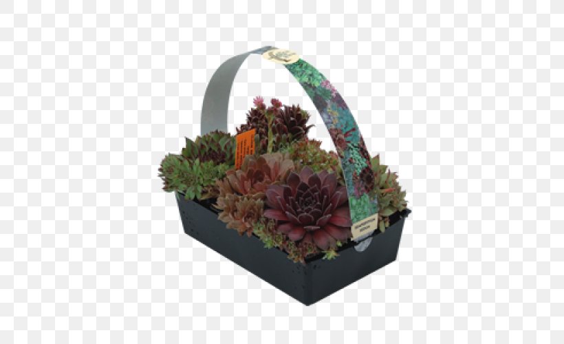 Floral Design Food Gift Baskets, PNG, 500x500px, Floral Design, Basket, Floristry, Flower, Flower Arranging Download Free