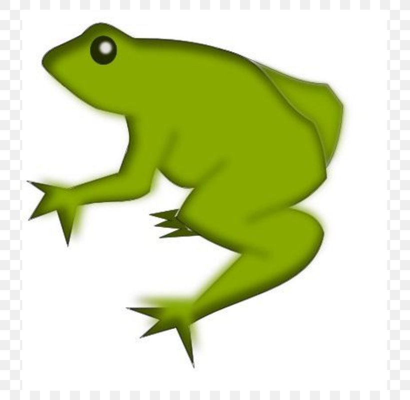 Frog Clip Art, PNG, 731x800px, Frog, Amphibian, Drawing, Fauna, Free Content Download Free