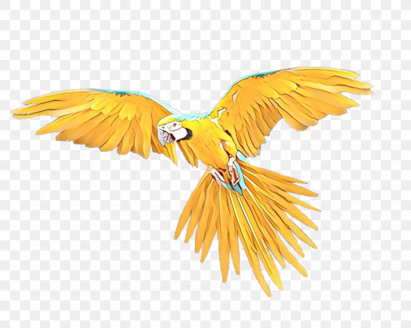 Hummingbird Flight Parrot, PNG, 999x799px, Bird, Beak, Bird Flight, Budgie, Domestic Pigeon Download Free