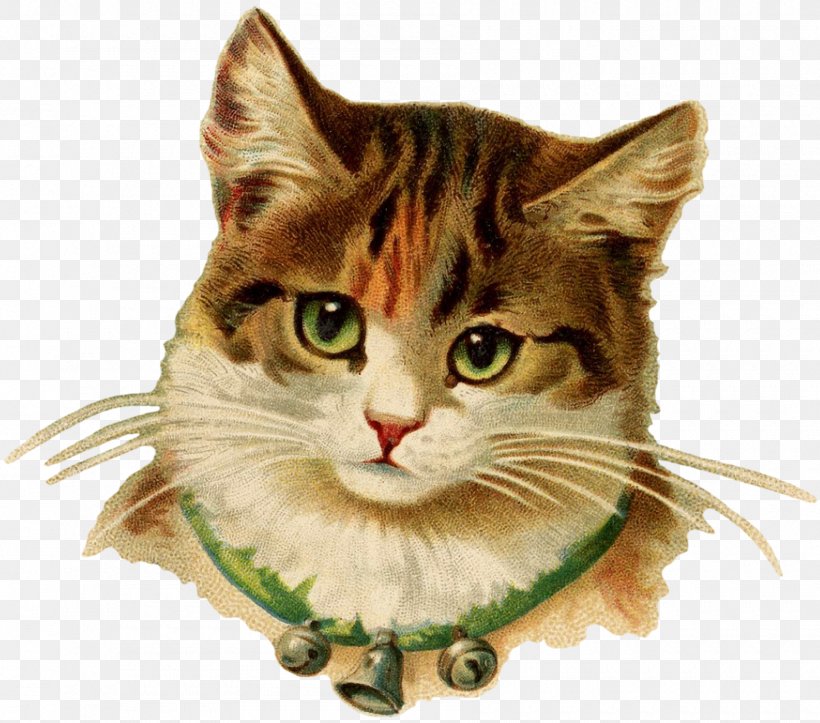 Kitten Siamese Cat Painting Image Poster, PNG, 1800x1589px, 2018, Kitten, American Wirehair, Art, Carnivoran Download Free