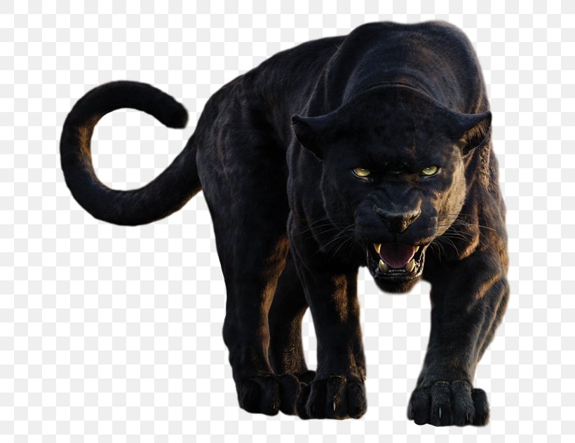 Bagheera The Jungle Book Shere Khan Baloo Mowgli, PNG, 700x632px, Bagheera, Baloo, Big Cats, Black Panther, Carnivoran Download Free