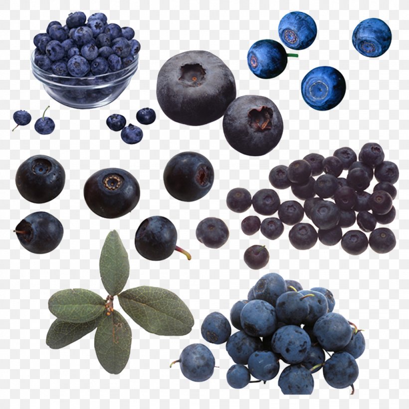 Blueberry Beaujolais Bilberry, PNG, 1024x1024px, Blueberry, Bead, Beaujolais, Berry, Bilberry Download Free