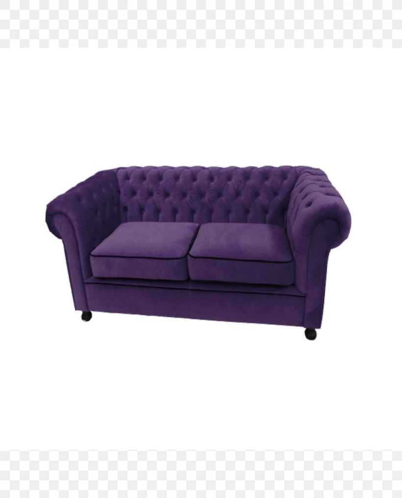 Couch Sofa Bed Seat Chair Furniture, PNG, 1024x1269px, Couch, Bed, Bedroom, Chair, Furniture Download Free