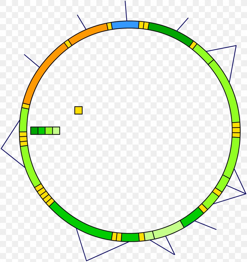 Mitochondrial DNA Mitochondrion Nuclear DNA Genetics, PNG, 2333x2476px, Mitochondrial Dna, Area, Cell, Diagram, Dna Download Free