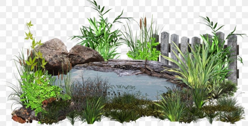 Pond Koi Garden Clip Art, PNG, 1000x508px, Pond, Flower Garden, Garden, Garden Tool, Gardening Download Free