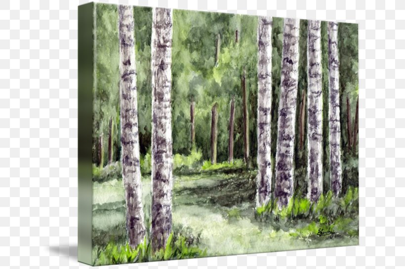 River Birch Watercolor Landscape Tree Watercolor Painting, PNG, 650x546px, River Birch, Art, Biome, Birch, Birch Family Download Free