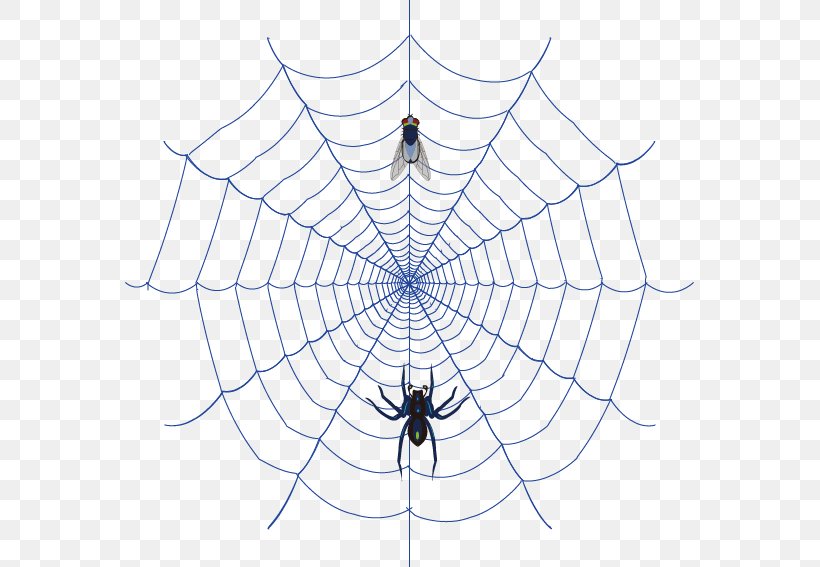 Spider Web Clip Art, PNG, 569x567px, Spider, Arachnid, Area, Cartoon, Drawing Download Free