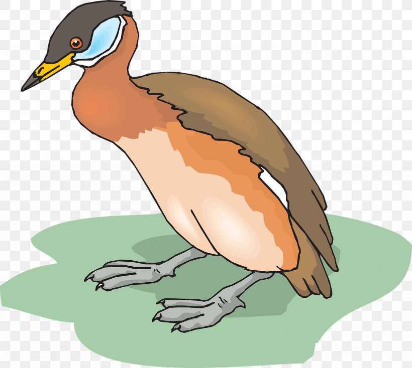 Bird Duck Clip Art, PNG, 1280x1146px, Bird, Anatidae, Beak, Duck, Ducks Geese And Swans Download Free