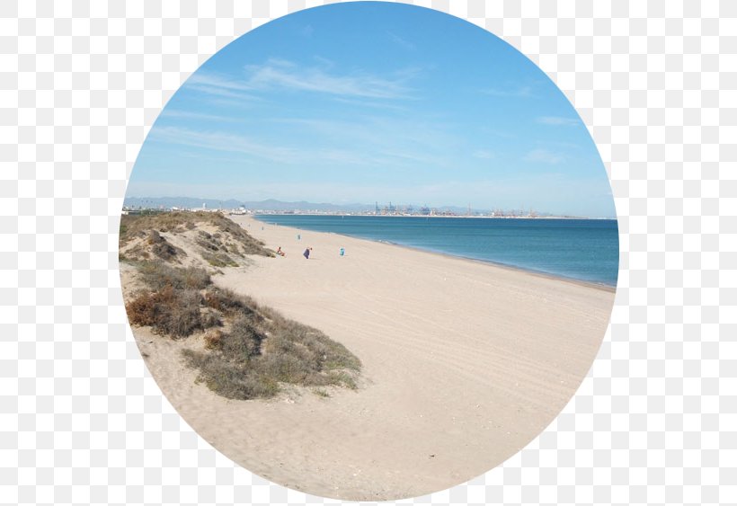 Playa El Saler Albufera Beach Shore, PNG, 588x563px, Beach, Blue Flag Beach, Caribbean, Coast, Coastal And Oceanic Landforms Download Free