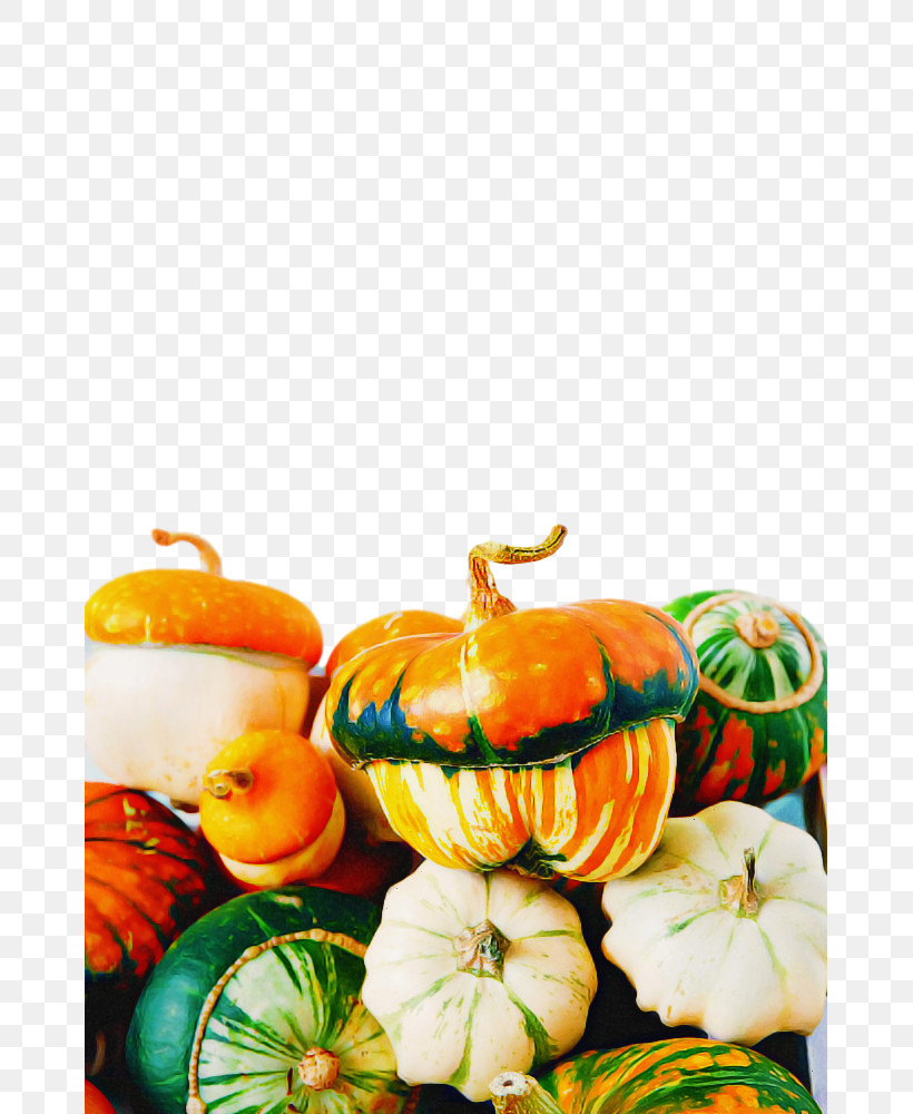 Pumpkin, PNG, 667x1000px, Natural Foods, Calabaza, Cucurbita, Fruit, Gourd Download Free