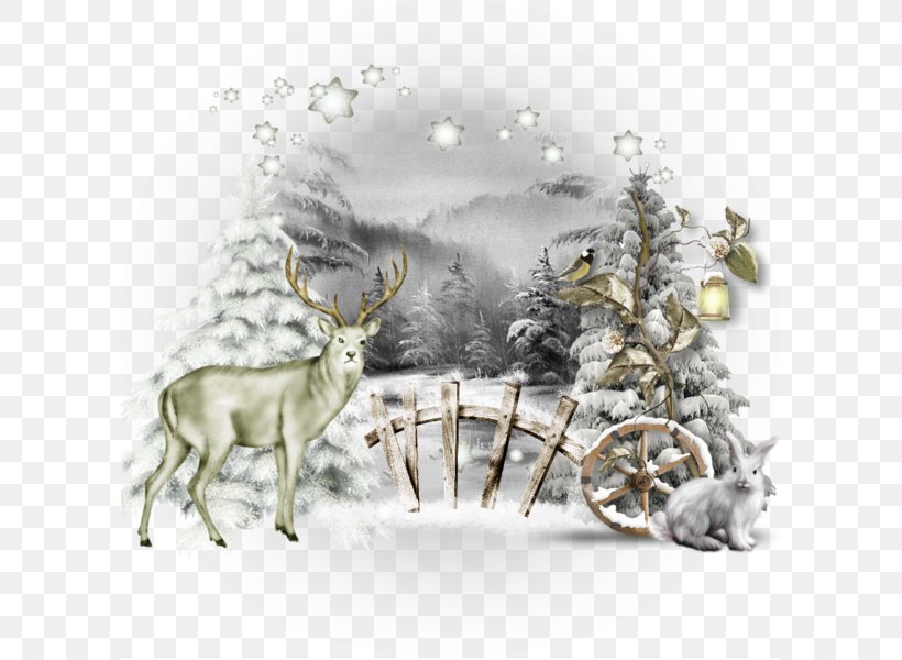 Reindeer Winter Christmas Illustration, PNG, 600x600px, Reindeer, Animation, Antler, Art, Branch Download Free