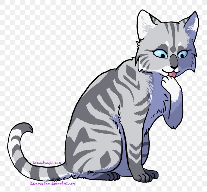 Whiskers American Wirehair Kitten Domestic Short-haired Cat Wildcat, PNG, 800x762px, Whiskers, American Wirehair, Animal Figure, Art, Canidae Download Free