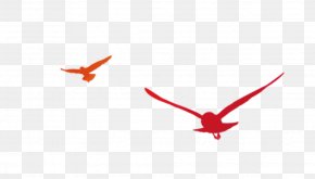 Vector Flying Eagles - 19th National Congress Of The Communist Party Of China Flight Bird PNG