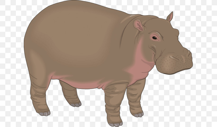 Animal Figure Pink Snout Toy, PNG, 640x480px, Animal Figure, Pink, Snout, Toy Download Free