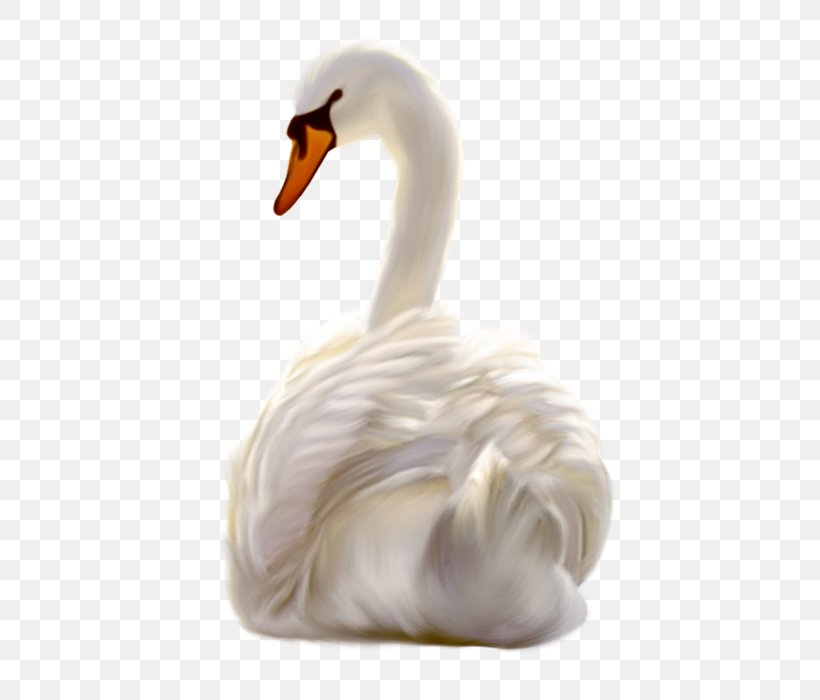 Cygnini Duck, PNG, 461x700px, Cygnini, Beak, Bird, Duck, Ducks Geese And Swans Download Free