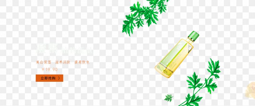 Essential Oil Leaf, PNG, 1920x800px, Essential Oil, Artemisia Argyi, Brand, Cosmetics, Designer Download Free