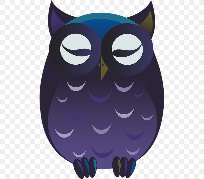 Owl Bird Cartoon Clip Art, PNG, 501x720px, Owl, Barred Owl, Beak, Bird, Bird Of Prey Download Free