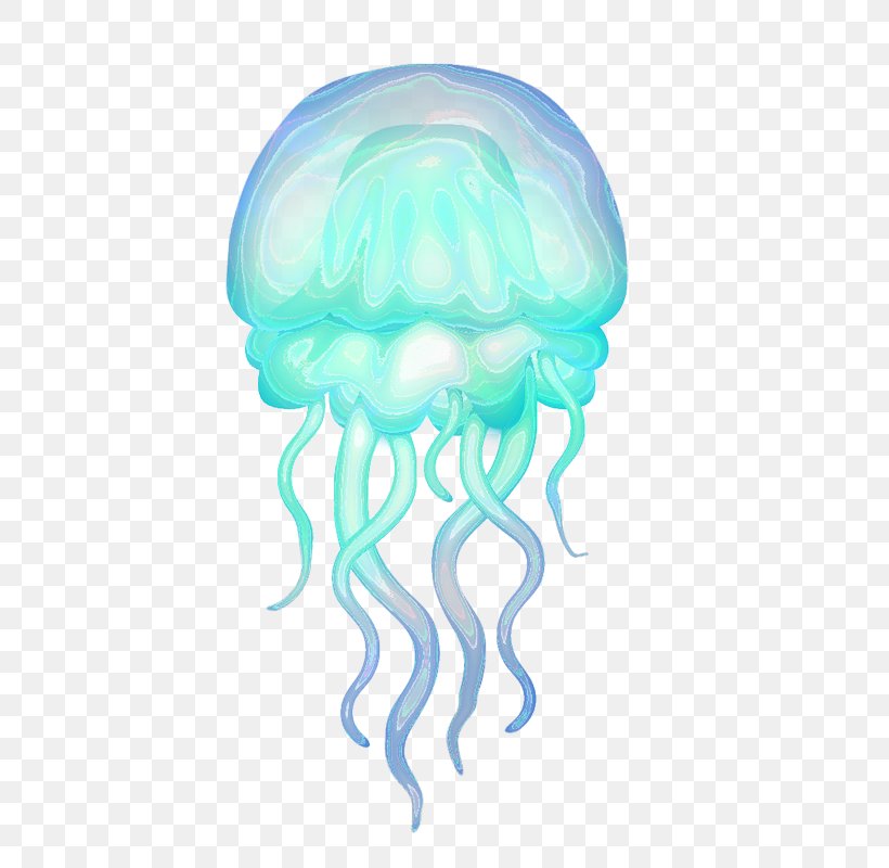 Rhizostomae Hydrozoa Aquatic Animal Box Jellyfish, PNG, 576x800px, Hydrozoa, Animal, Aqua, Aquatic Animal, Box Jellyfish Download Free