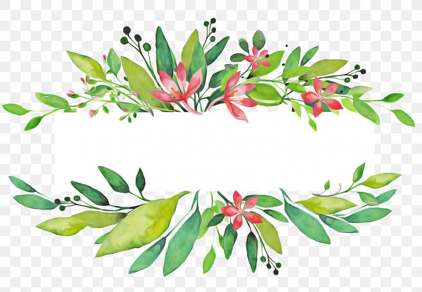 Flower Plant Leaf Clip Art Flowering Plant, PNG, 1600x1111px, Flower, Branch, Flowering Plant, Leaf, Plant Download Free