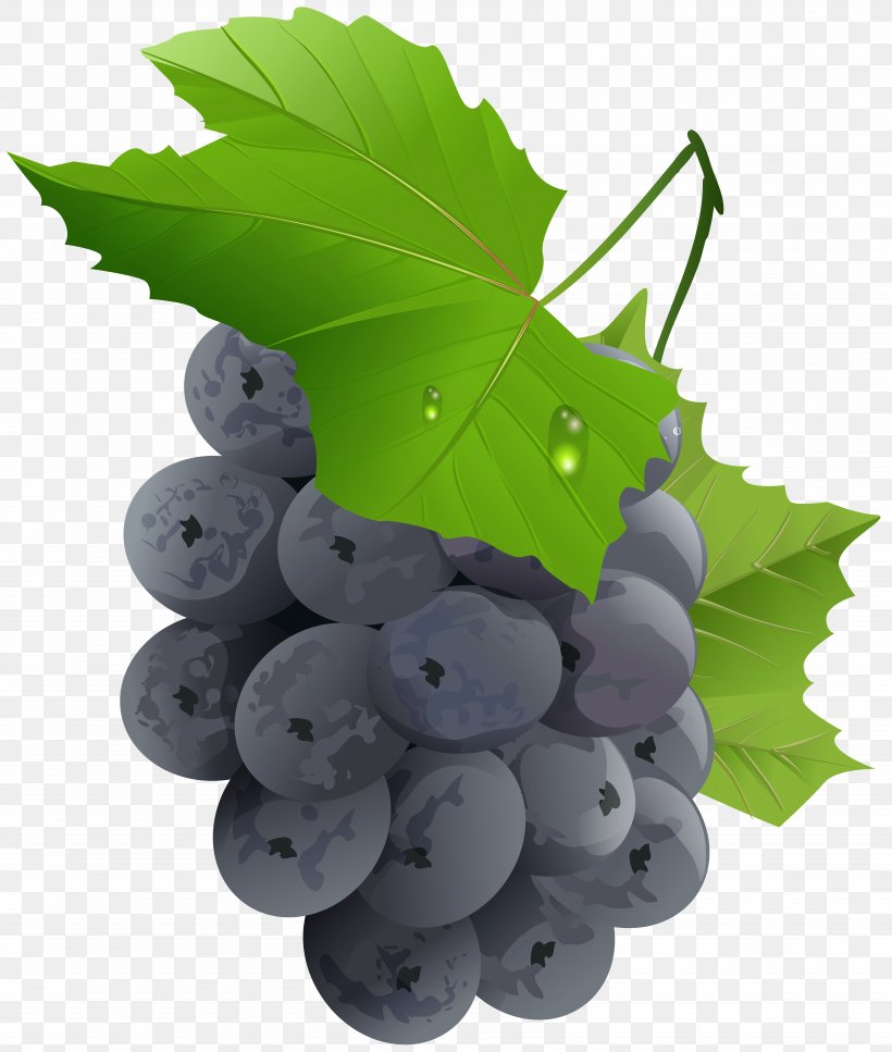 Grape Seedless Fruit Clip Art, PNG, 6780x8000px, Grape, Apple, Auglis, Bilberry, Flowering Plant Download Free