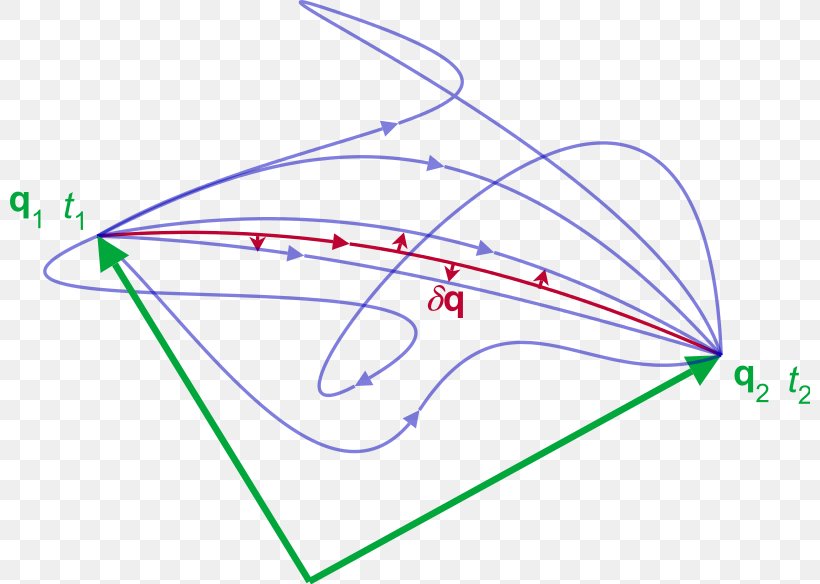 Principle Of Least Action Hamilton's Principle Variational Principle Lagrangian, PNG, 800x584px, Principle Of Least Action, Action, Analytical Mechanics, Area, Classical Mechanics Download Free