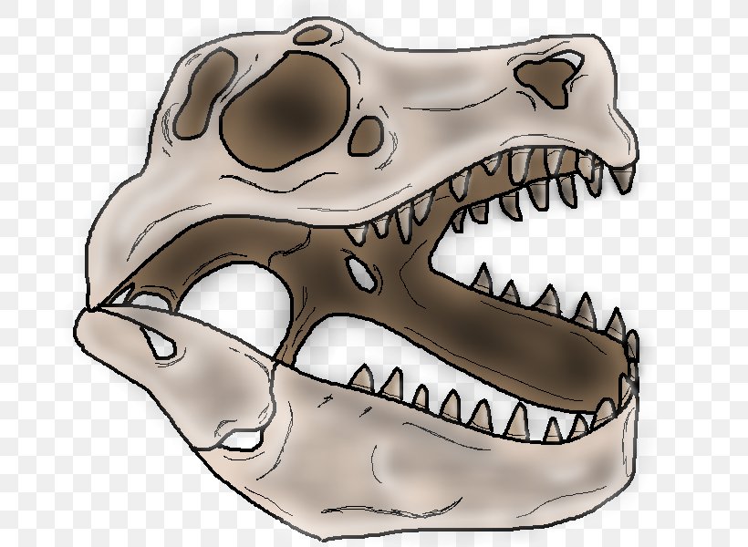 Skull Dinosaur Skeleton Snout, PNG, 800x600px, Skull, Bone, Dinosaur, Jaw, Mouth Download Free