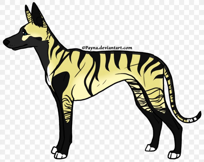 Dog Breed Whippet Italian Greyhound Spanish Greyhound, PNG, 890x706px, Dog Breed, Animal, Animal Figure, Breed, Carnivoran Download Free