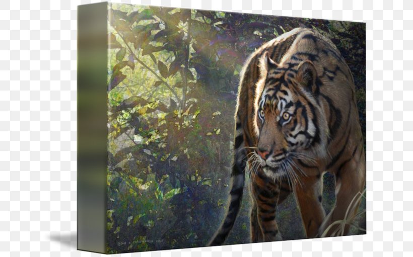 Tiger Big Cat Terrestrial Animal Wildlife, PNG, 650x511px, Tiger, Animal, Big Cat, Big Cats, Carnivoran Download Free