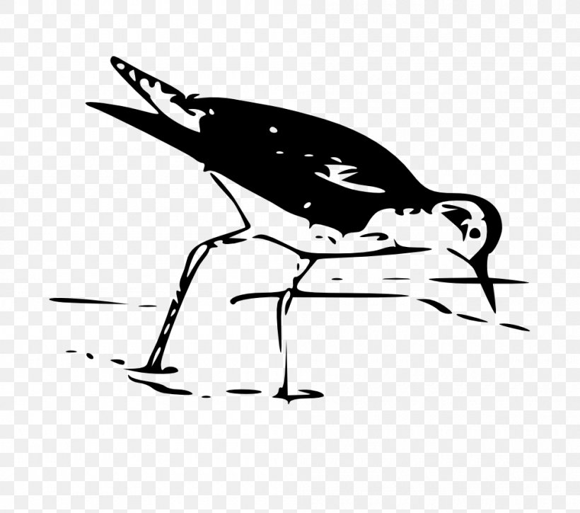 Black And White Drawing Art Clip Art, PNG, 1000x885px, Black And White, Art, Artwork, Beak, Bird Download Free