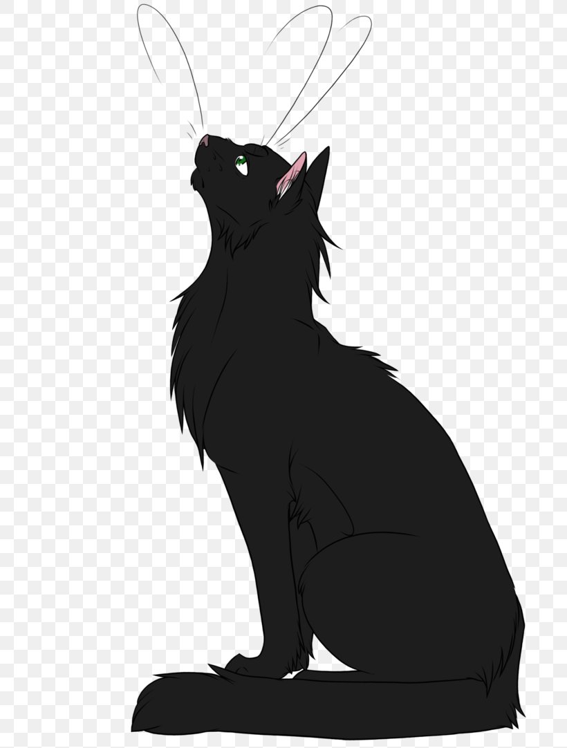 Cat Kitten Whiskers Warriors Hollyleaf, PNG, 738x1082px, Cat, Ashfur, Black, Black And White, Carnivoran Download Free