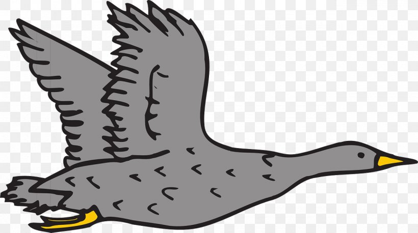 Duck Goose Bird Clip Art, PNG, 1280x716px, Duck, Artwork, Beak, Bird, Bird Flight Download Free