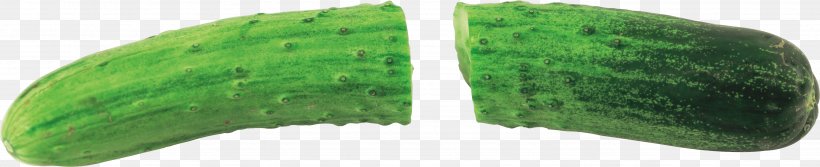 Pickled Cucumber Brined Pickles Produce, PNG, 3490x712px, Pickled Cucumber, Brined Pickles, Cucumber, Grass, Green Download Free