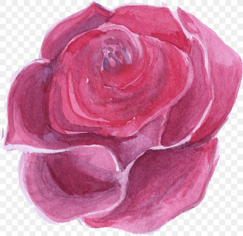 Flower Rose Watercolor Painting, PNG, 953x926px, Flower, Cut Flowers, Free, Garden Roses, Magenta Download Free