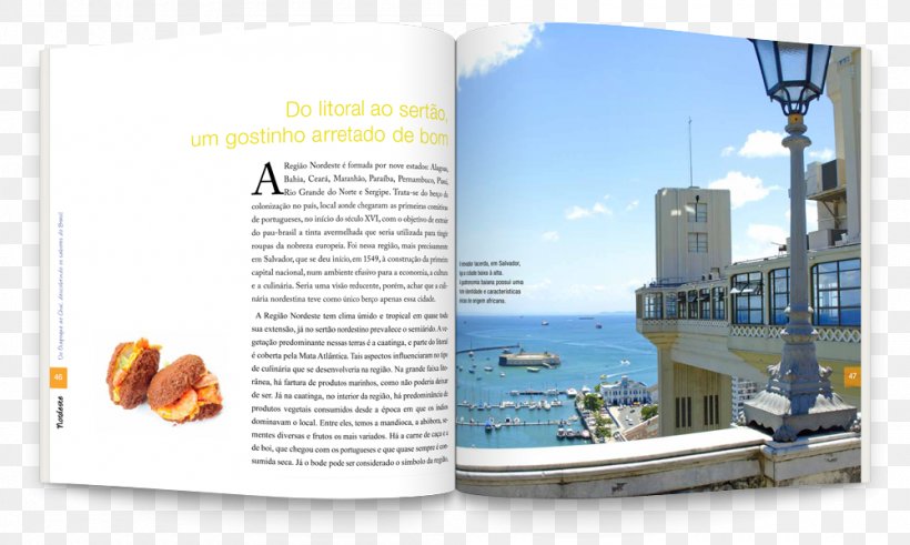 Salvador Photography Rethymno City, PNG, 1000x600px, Salvador, Advertising, Bahia, Book, Brand Download Free