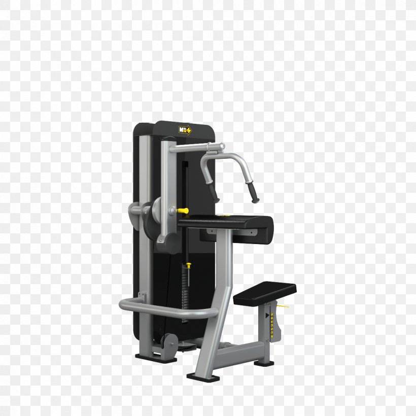 Triceps Brachii Muscle Lying Triceps Extensions Biceps Bodybuilding Bench, PNG, 1200x1200px, Triceps Brachii Muscle, Bench, Bench Press, Biceps, Biomechanics Download Free